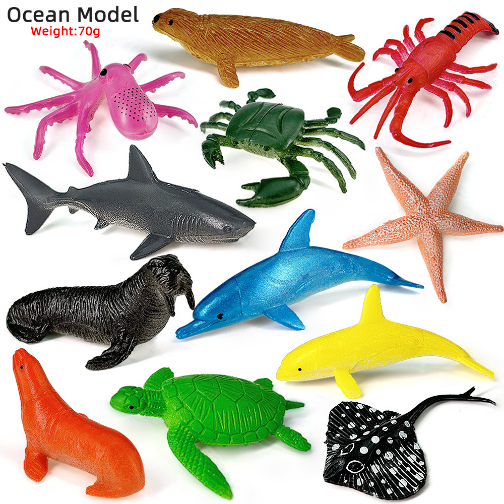 Kids Education Material - 12 pezzi oceano vita marina set
