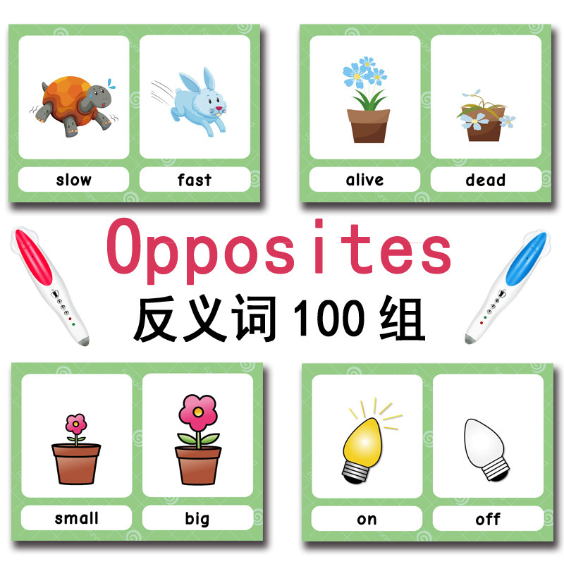 100 Gruppi di Carte Flash con  - English Kids Education recensione e prezzo